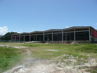 CA19