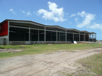CA19