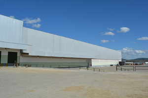 CL08
